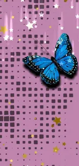 Blue butterfly on pink background with stars.