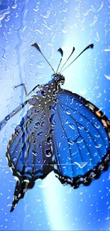 Elegant blue butterfly with detailed wings on a vibrant background.