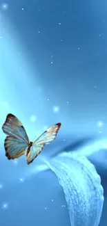 Blue butterfly on flower mobile wallpaper.