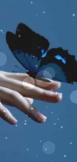 A blue butterfly gracefully perched on a person's hand against a soft blue background.