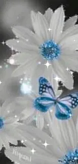 Blue butterfly and daisies on blurred background wallpaper.