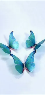 Three elegant blue butterflies on a serene white background.