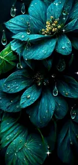 Blue flowers with water droplets on a dark background.