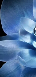 Elegant blue flower with metallic accents on black backdrop.