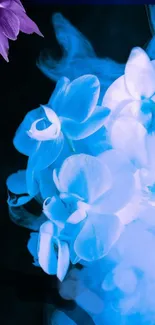 Elegant blue orchid wallpaper with misty background