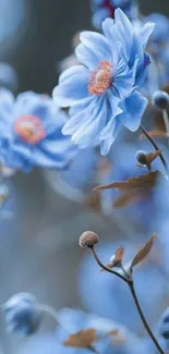 Elegant blue flowers with delicate petals in a serene wallpaper design.