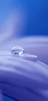 Close-up of a blue flower petal with a water droplet, creating a serene atmosphere.