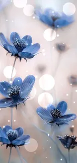 Elegant blue flowers with soft background.