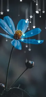 Elegant blue flower on dark background, perfect for mobile wallpaper.