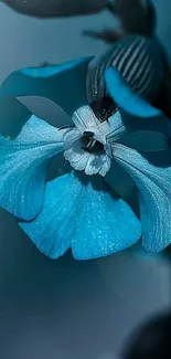 Elegant blue flower close-up wallpaper.