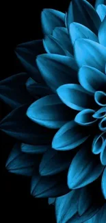 Elegant blue flower with dark background mobile wallpaper.