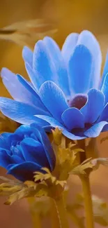 Blue flowers wallpaper with golden background.