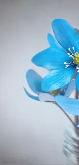 Elegant blue flowers in full bloom in a nature-inspired wallpaper.