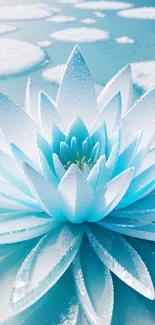 Elegant blue lotus flower on mobile wallpaper with serene design.