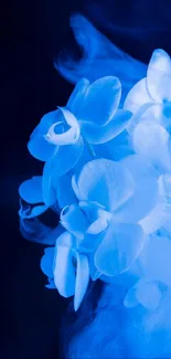 Elegant blue orchids with smoke effects in mobile wallpaper.