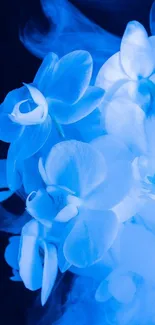 Elegant blue orchids with mystical fog background.