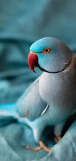 Close-up of vibrant blue parrot in soft turquoise setting.