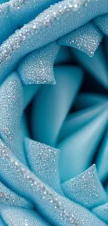 Close-up of a blue rose with dew-covered petals.
