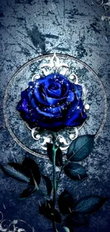 Elegant blue rose with silver details on an artistic background.