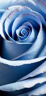 Close-up photo of an elegant blue rose.