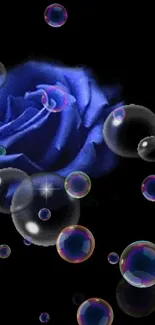 Mobile wallpaper with a blue rose and floating bubbles on a black background.