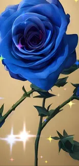 Elegant blue rose on beige background.