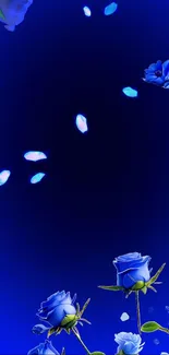 Elegant blue rose wallpaper with petals falling.