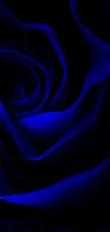 Dark blue rose petals in an elegant floral phone wallpaper.