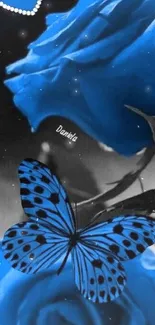 Blue rose and butterfly wallpaper with black background.