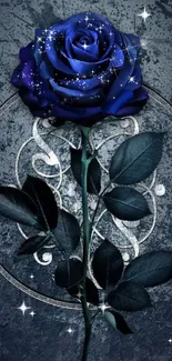 Elegant blue rose with dark background design.