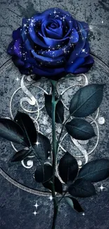 Dark elegant blue rose wallpaper with artistic design and floral details.