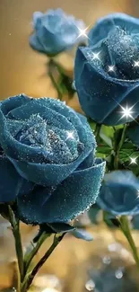 Elegant blue roses with dewdrops in a serene mobile wallpaper.