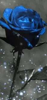 Mobile wallpaper of a blue rose with mystical sparkles.