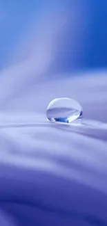 Serene blue wallpaper with water droplet on petals.