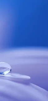 Close-up of a water droplet on a violet surface with a blue background.