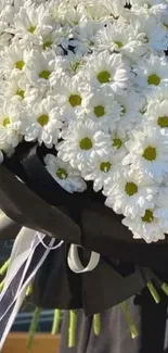 Elegant bouquet of white daisies wrapped in dark paper.