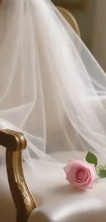 Elegant bridal chair with pink rose on white drapery.