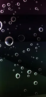 Mobile wallpaper with elegant bubbles and gradient background.