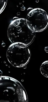 Elegant bubbles floating on a black background.