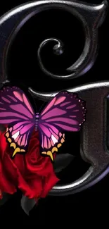 Colorful butterfly on red rose with metallic letter background.