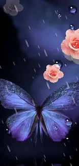 Purple butterfly with pink roses on dark background