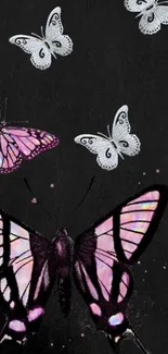 Elegant black wallpaper with pink and white butterflies.