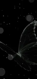 Translucent butterfly on a black background wallpaper.