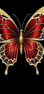 Elegant red and gold butterfly on black background.