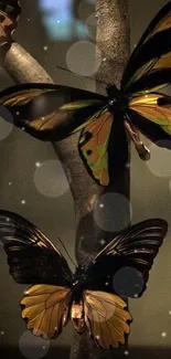 Two elegant butterflies on a branch with subtle dark tones.