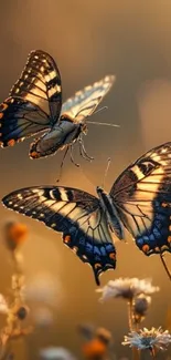 Two butterflies dancing among wildflowers.