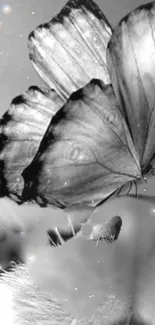 Grayscale butterfly resting on a flower with soft glow and sparkles.