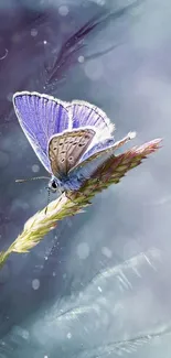 Purple butterfly on a natural backdrop, serene and elegant design.