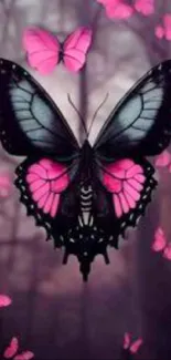 Vibrant pink and black butterfly on forest background.