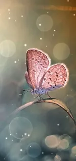 A serene butterfly perched with soft bokeh effects in pastel hues.